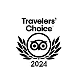 Certificate of excellence from 2013 to 2024
