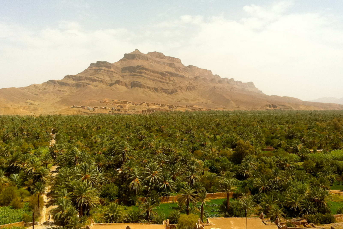 Draa Valley landscape with palm groves, traditional kasbahs and the road leading south toward M'Hamid and Erg Chigaga