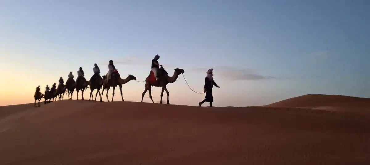 Desert experience