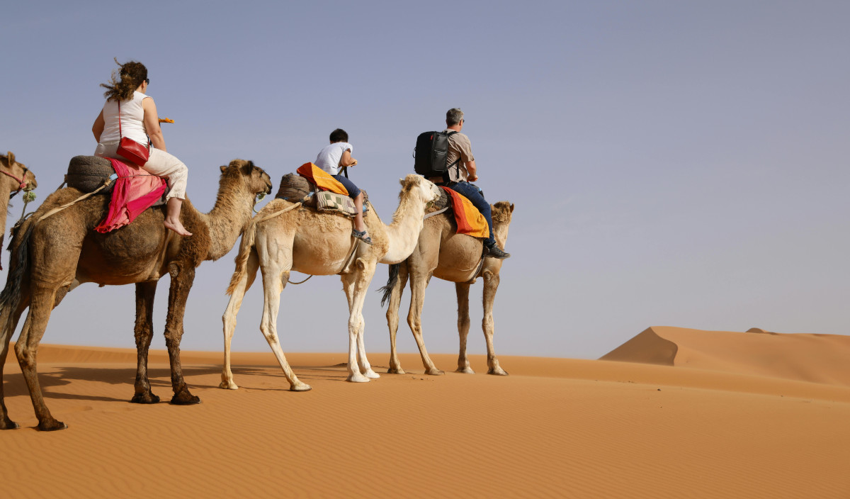 Desert experience