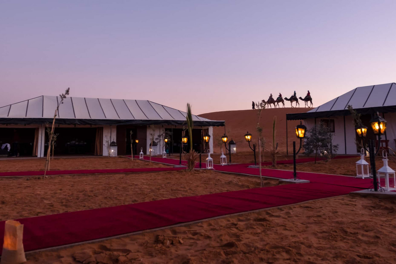 Luxury Camp Merzouga