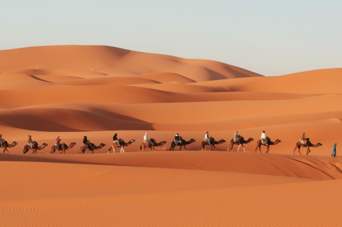 Camel Trekking