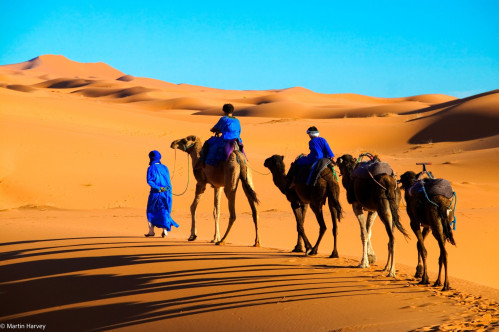 Camel Trekking