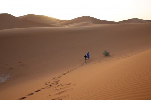Heading To The Desert On An Adventure Trip? These Are The 10 Survival Tips To Consider
