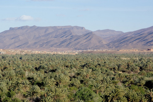 Zagora