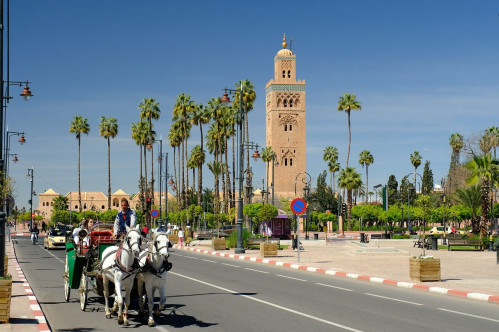 Marrakech, Sahara Desert And Coastline Of Morocco