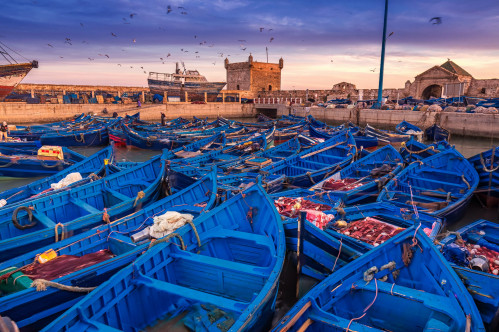 Marrakech, Sahara Desert And Coastline Of Morocco