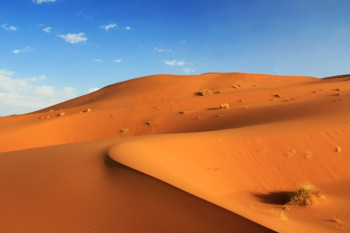 Merzouga Desert