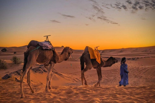 Medinas, Kasbahs And Sahara Desert Tour