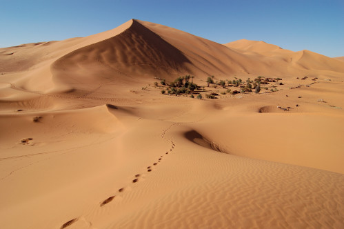 Medinas, Kasbahs And Sahara Desert Tour