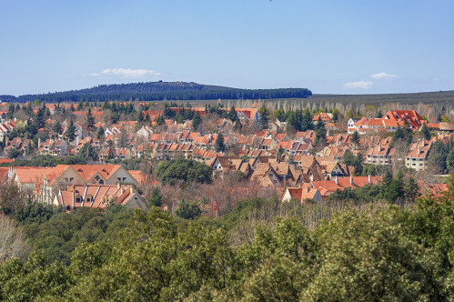 Fes Day Trip To Ifrane