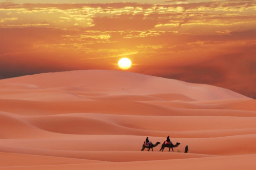 Morocco Desert New Year's Eve