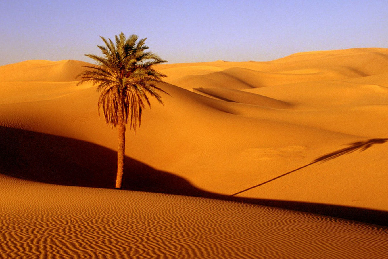 Dades Gorge-Merzouga